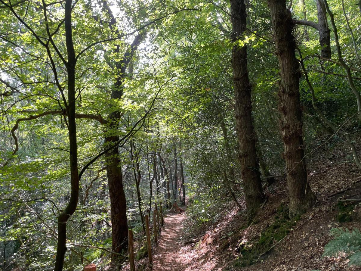 The Forester Schoorl Zewnętrze zdjęcie