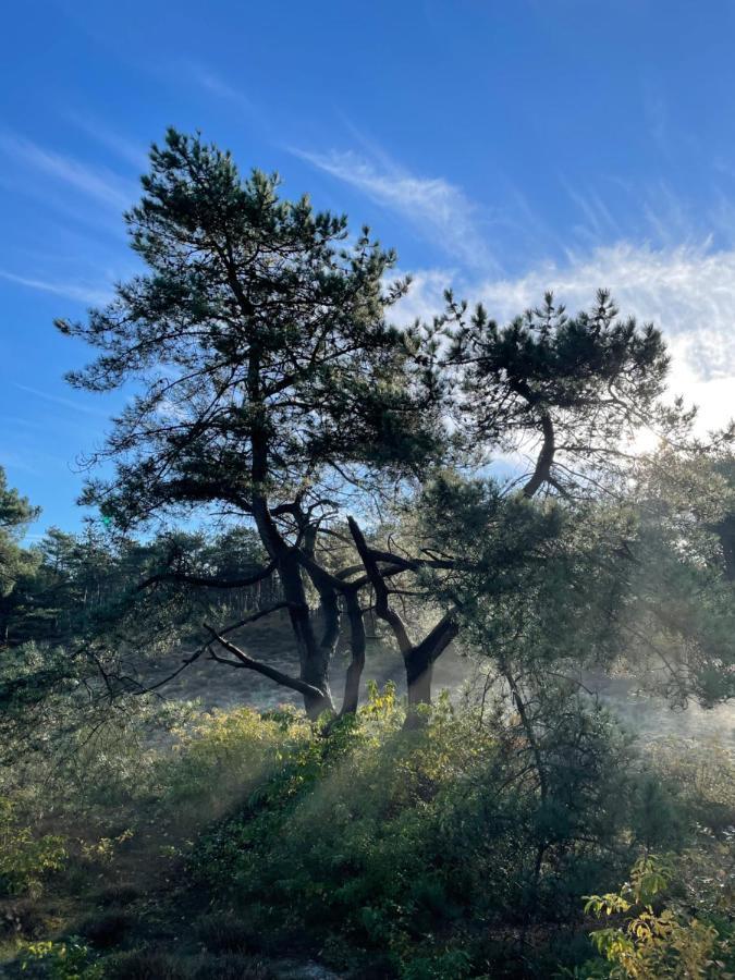The Forester Schoorl Zewnętrze zdjęcie